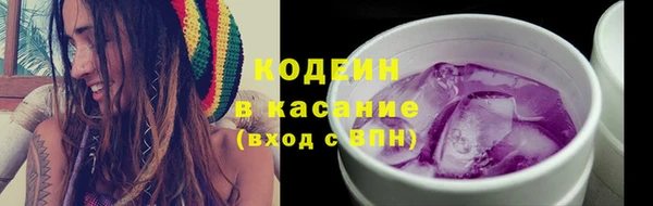 PSILOCYBIN Алзамай