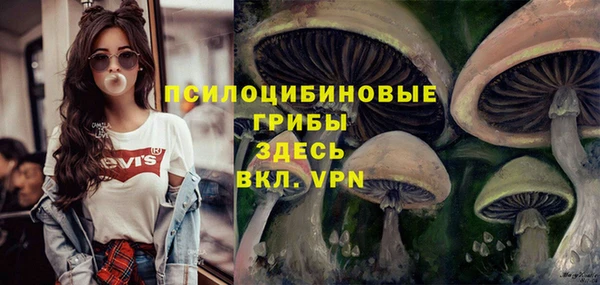 ешки Алексеевка