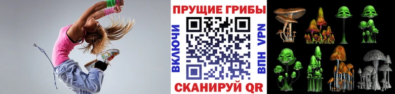 где купить наркоту Артём Галлюциногенные грибы мицелий